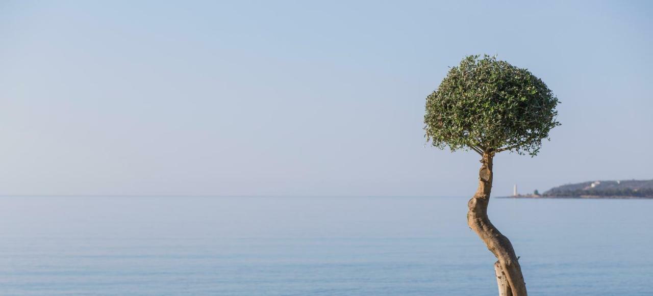 Mareggio Exclusive Residences & Suites غيتيو المظهر الخارجي الصورة