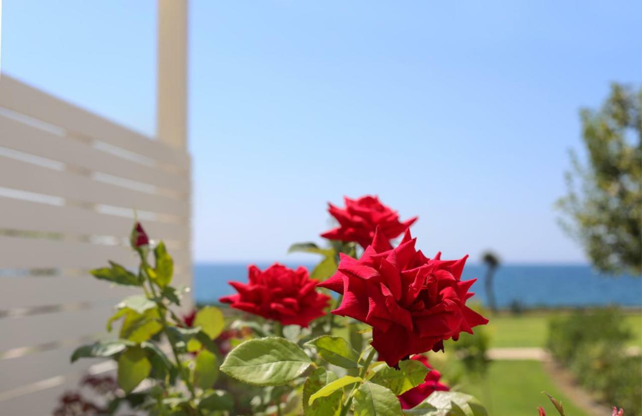 Mareggio Exclusive Residences & Suites غيتيو المظهر الخارجي الصورة